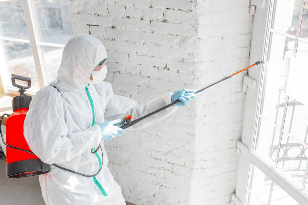 Best Comprehensive Air Testing for Mold Contaminants  in Kirkland, WA